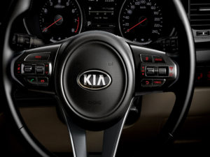 Kia Grand Carnival Steering wheel remote controls (Bluetooth handsfree, auto cruise control)