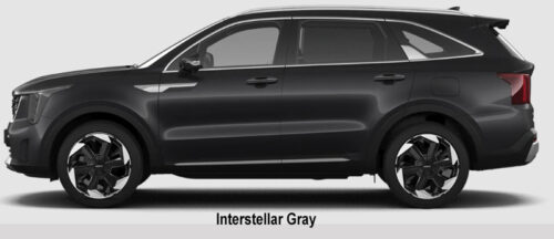 Kia sorento Interstellar Gray