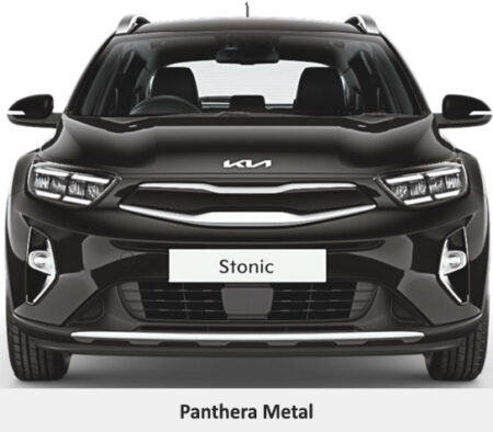 Panthera-Metal