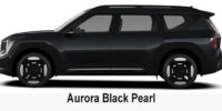 Kia Ev9 Aurora Black pearl